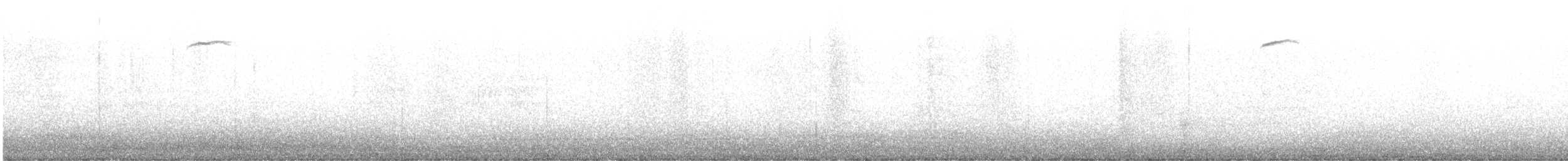 American Robin - ML646203214