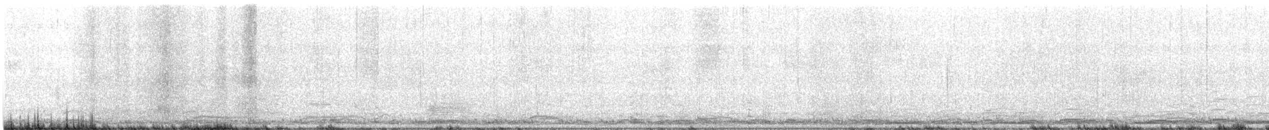 Tundra Swan - ML646203280