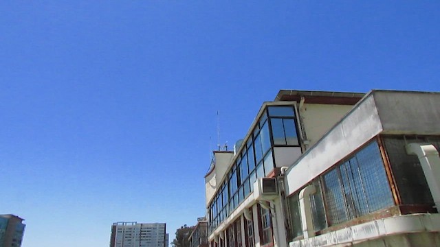 poštolka pestrá - ML646204084