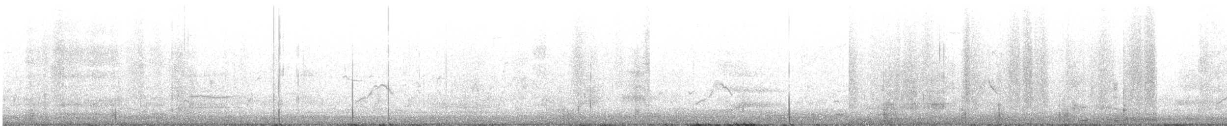 Say's Phoebe - ML646204612