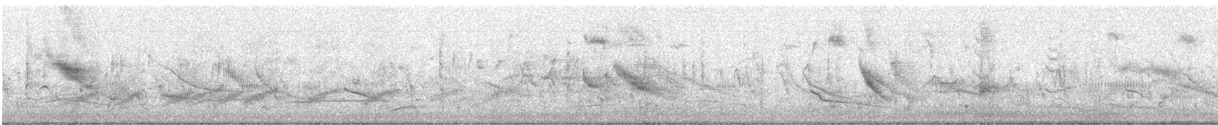 Einfarbstar - ML646205977