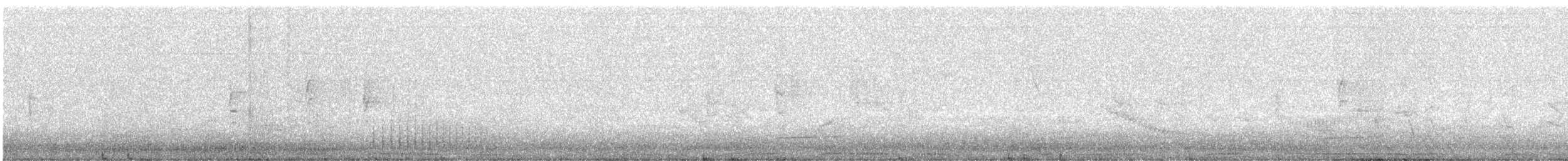 Great Spotted Woodpecker - ML646206195