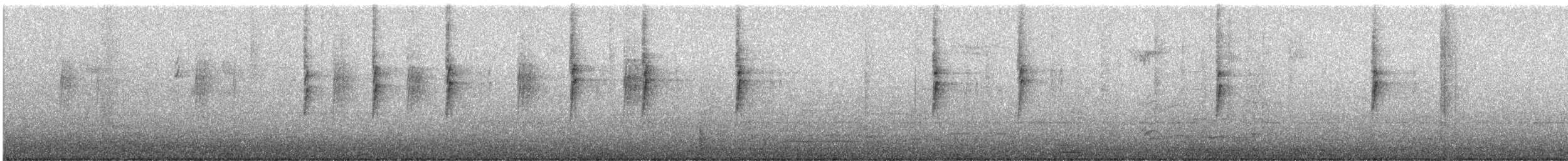 Yellow-rumped Warbler - ML646206694