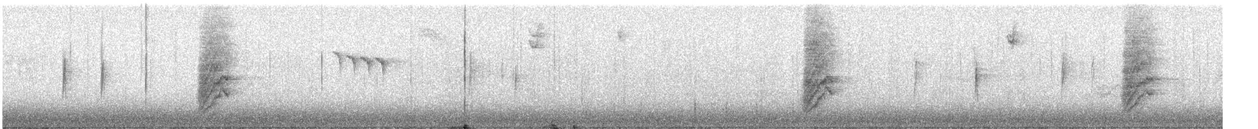 California Scrub-Jay - ML646206850