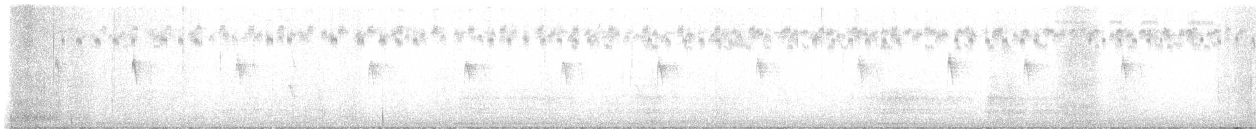 Toquí Flanquirrufo - ML646207268