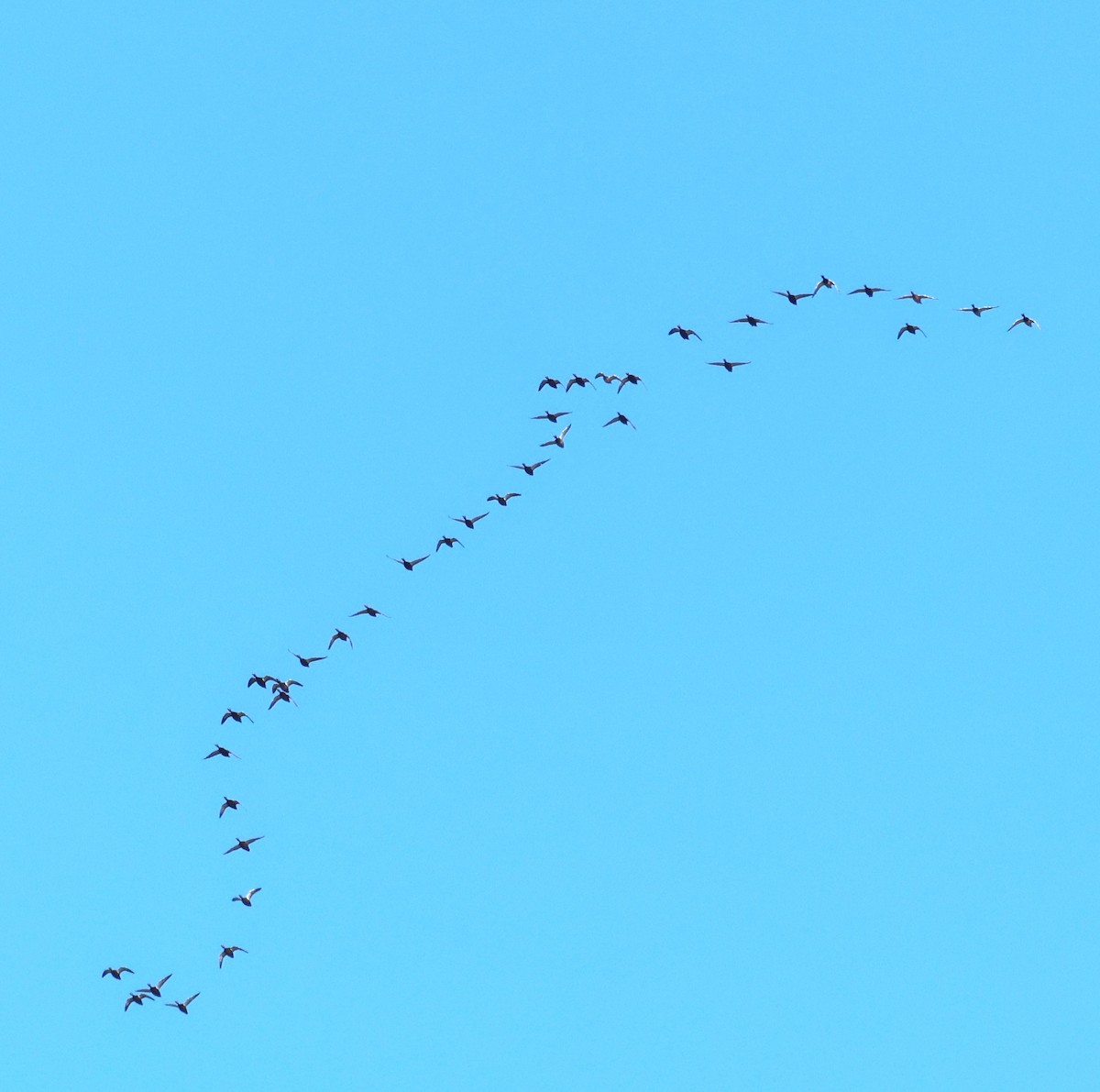 Ahate iluna - ML646207543