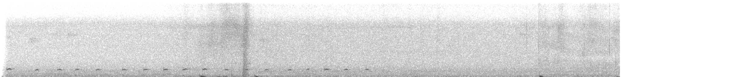 Gallineta Moluqueña - ML646207606