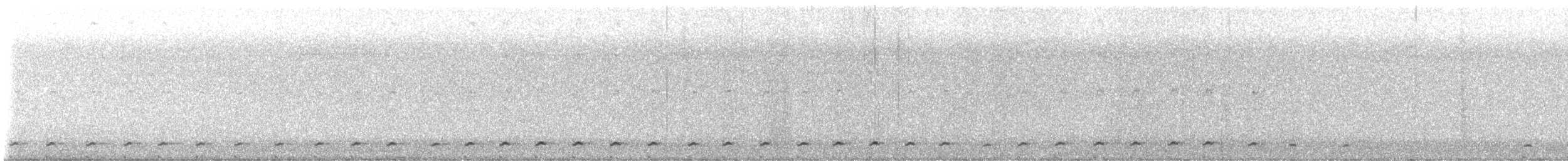 Gallineta Moluqueña - ML646207607