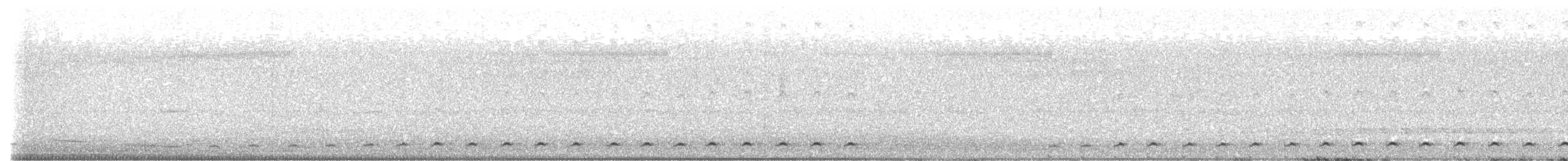 Gallineta Moluqueña - ML646207646