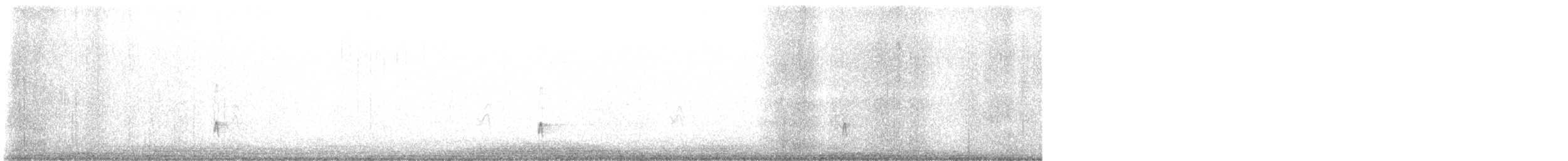 Ash-throated Flycatcher - ML646207813