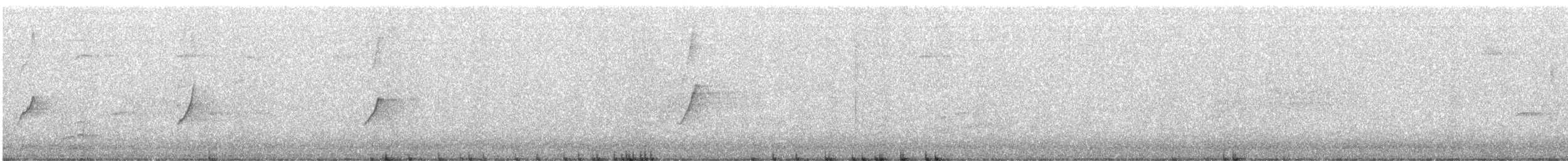 Mosquitero Común - ML646207907