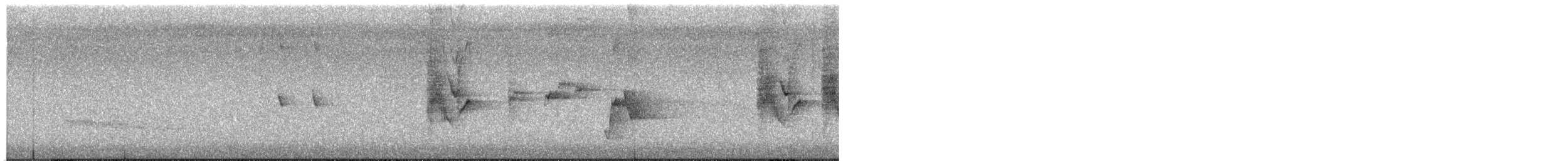 gallaviftestjert - ML646207976