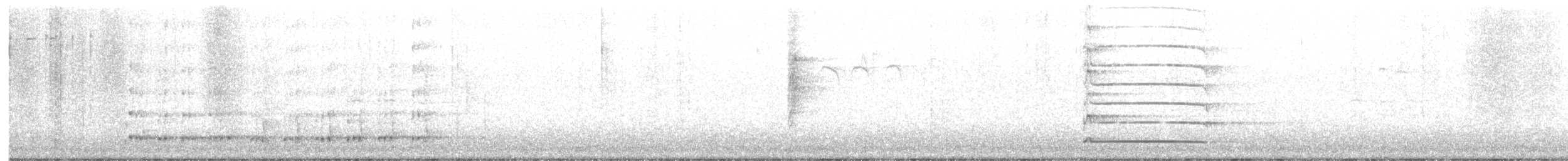 Picamaderos Negro - ML646208118