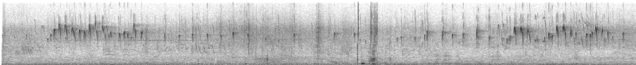 Vencejo de Tormenta - ML646208165
