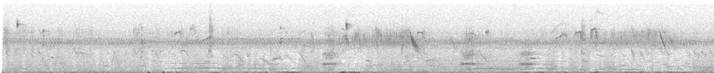 Tucán Toco - ML646208247