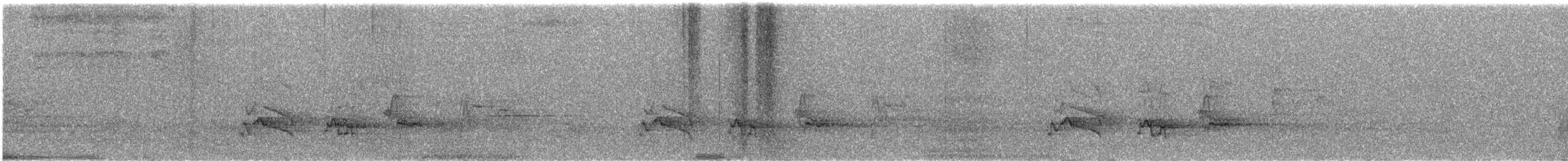 Zorzal Americano - ML646208745