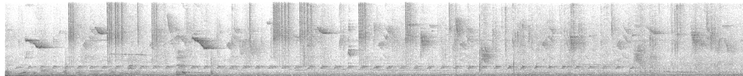 ペルースズメフクロウ - ML646208762