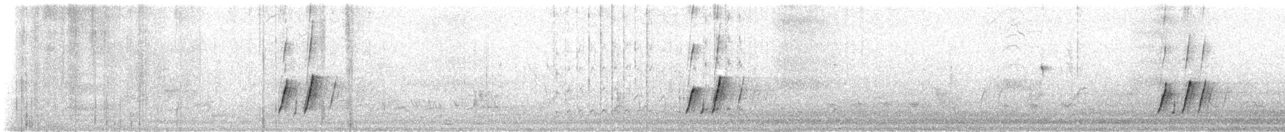 Curve-billed Thrasher - ML646208843