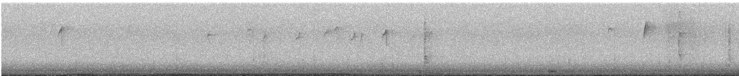 Red-bellied Woodpecker - ML646208941