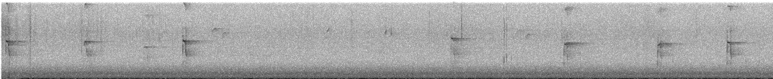 Hairy Woodpecker - ML646209058