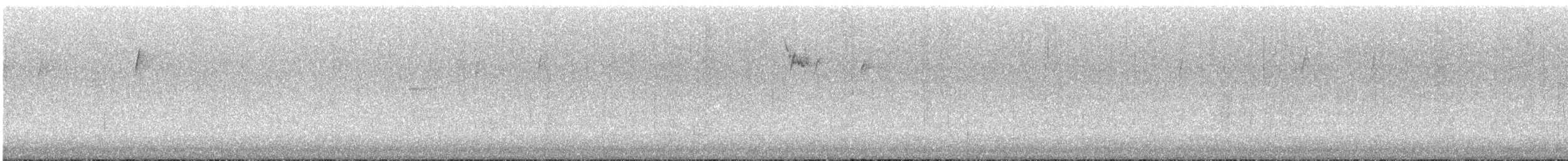 White-throated Sparrow - ML646209135