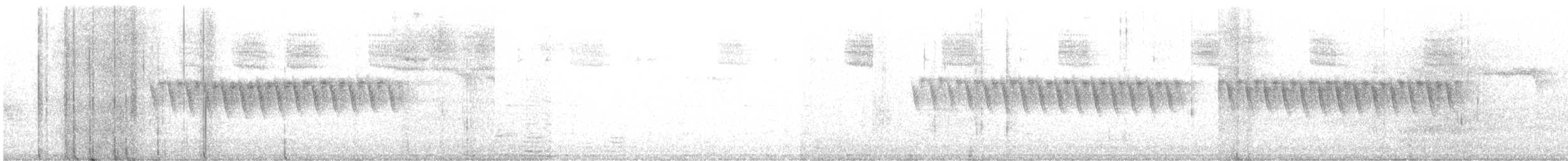 Junco ardoisé - ML646209417