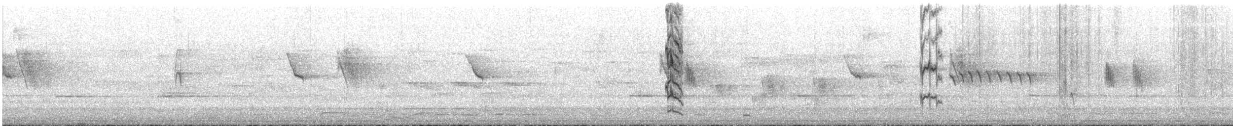 Scaly-breasted Lorikeet - ML646209729