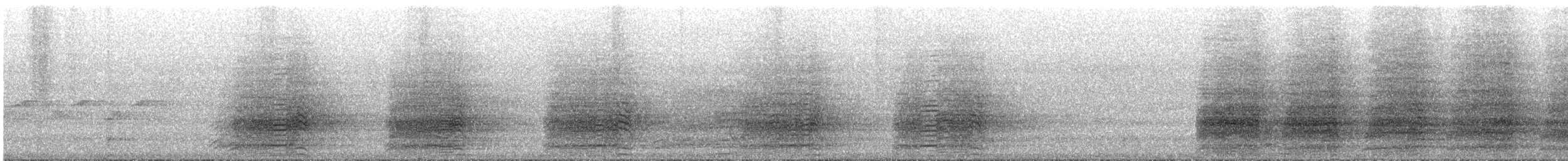 Sulphur-crested Cockatoo - ML646209731