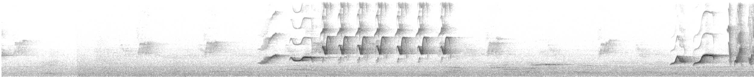 Chiguanco Thrush - ML646209748