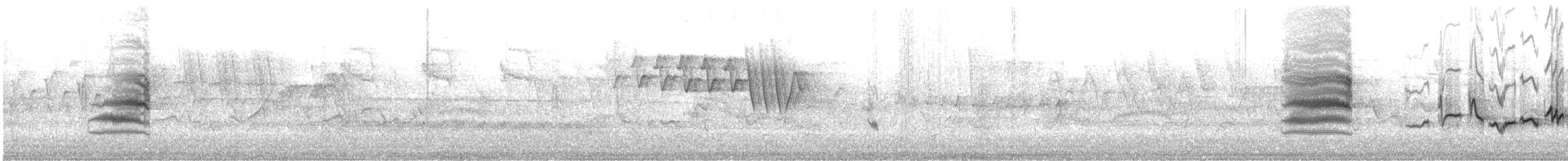 Eastern Warbling Vireo - ML646209987