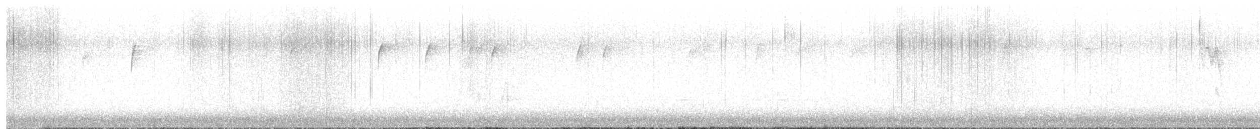 American Robin - ML646210007