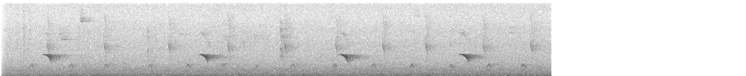 Guatemalan Tyrannulet - ML646210235