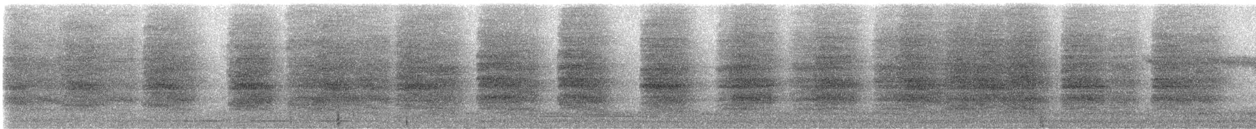 Steller's Jay - ML646210805