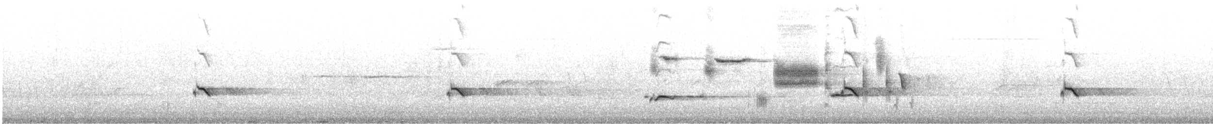 Baltimore Oriole - ML646210826