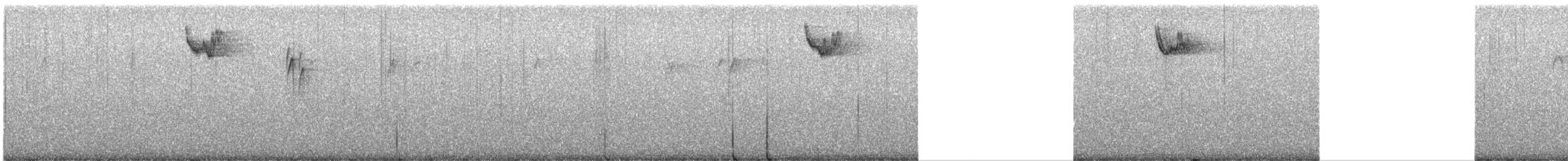 Белогорлая зонотрихия - ML646211501