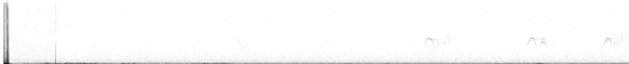 Светлобрюхий фиби - ML646211645