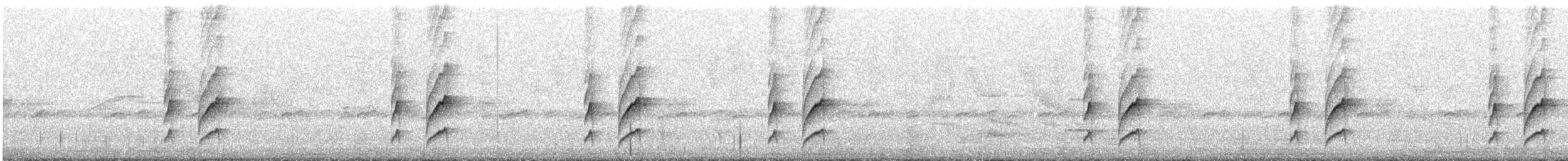 Кордильерская иглохвостка - ML646211658