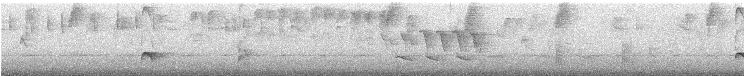 シロヘリオオヒタキモドキ - ML646211741