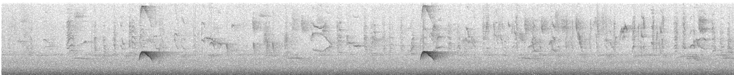 シロヘリオオヒタキモドキ - ML646211748