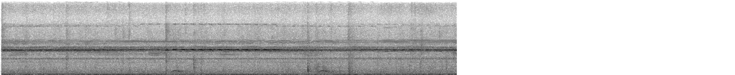 Chouette mouchetée - ML646212057