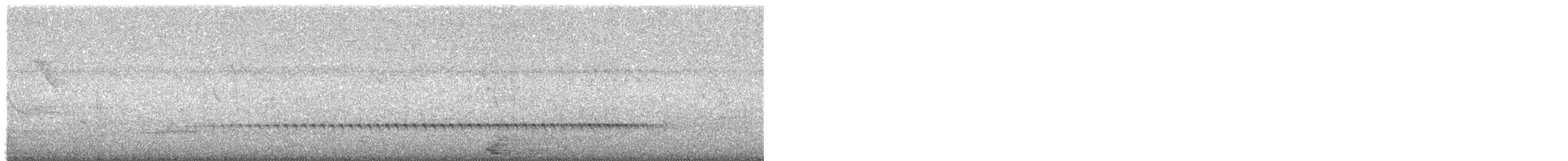 Пятнистая нотура - ML646212708