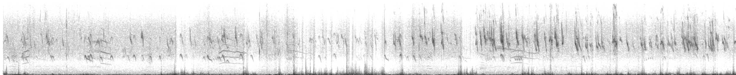 Gambecchio di Bonaparte - ML646214377