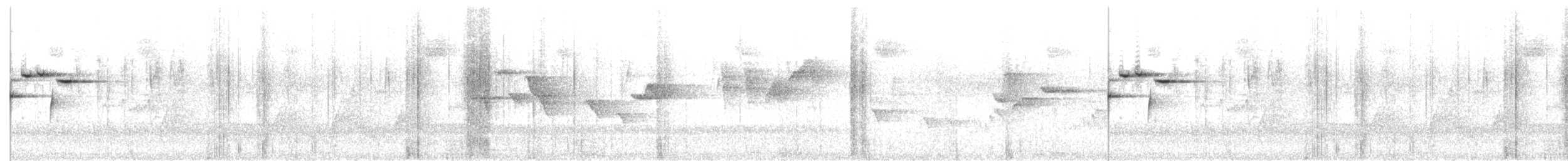 Gray Fantail (alisteri) - ML646214447