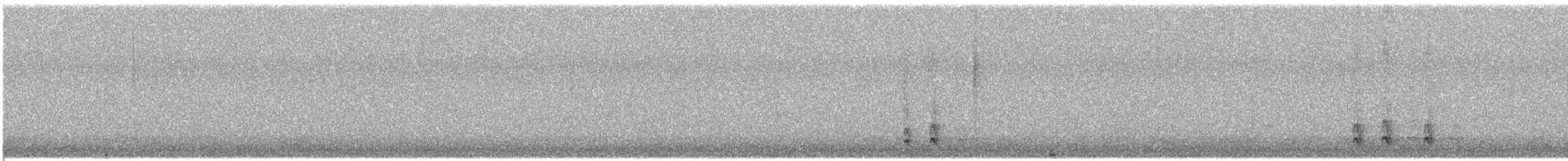 American Robin - ML646214492