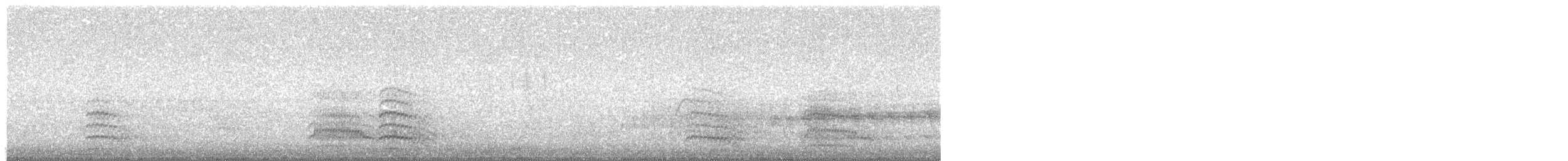 Patagonienmöwe - ML646214769