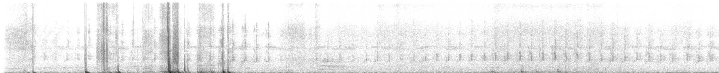 American Barn Owl - ML646215013