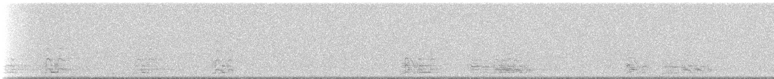 白額雁 - ML646215048