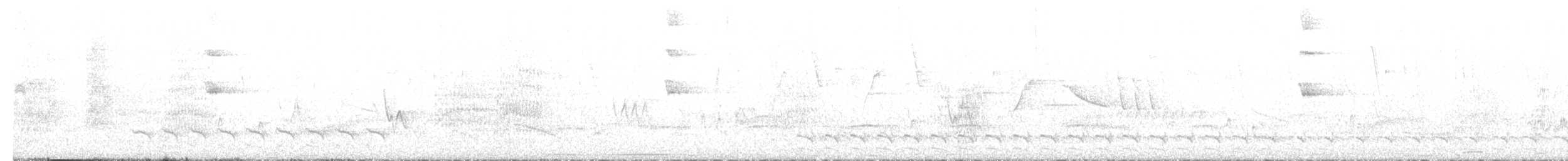 Variable Antshrike - ML646215165