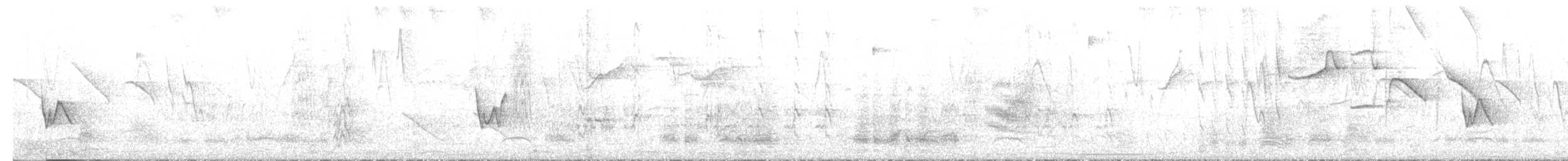 Chivi Vireo - ML646215209