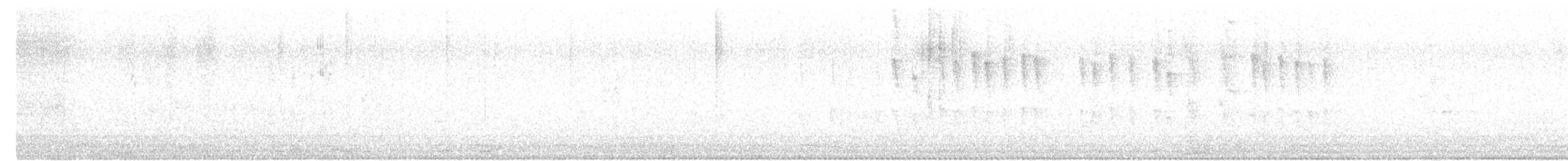 Java Sparrow - ML646216347